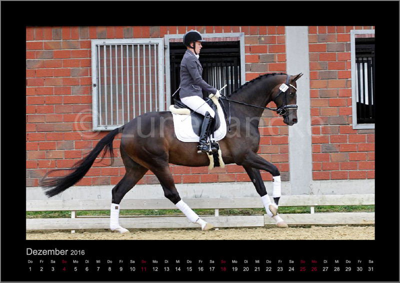 Evora Foto © Lune Jancke