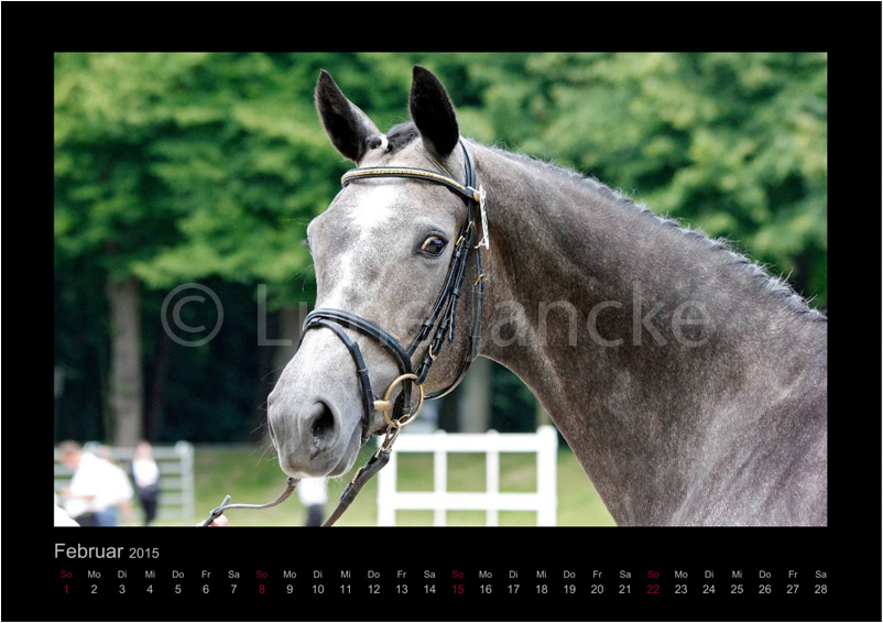 Sinope © Lune Jancke