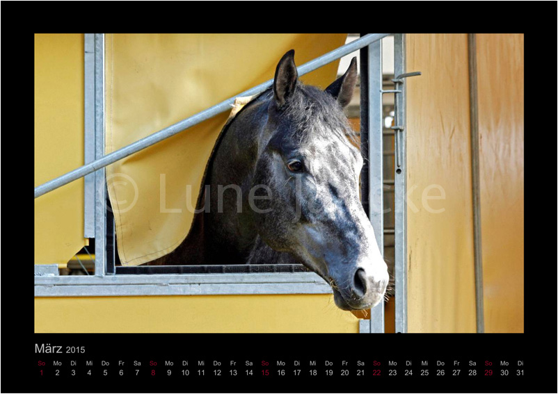 Hopkins Foto © Lune Jancke