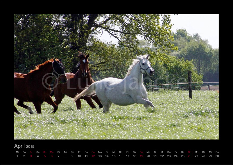 Lillyfee Foto © Lune Jancke