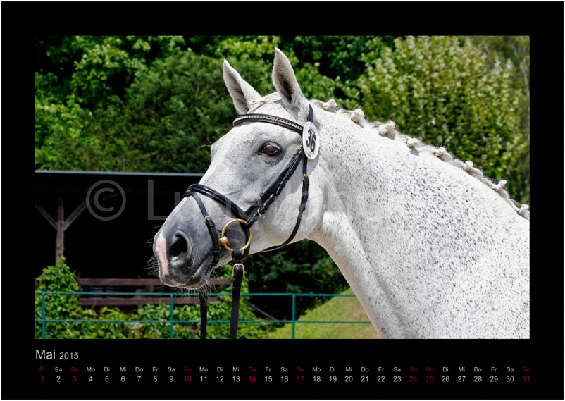 Die Kaiserin Foto © Lune Jancke