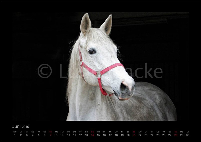 Thalia Foto © Lune Jancke