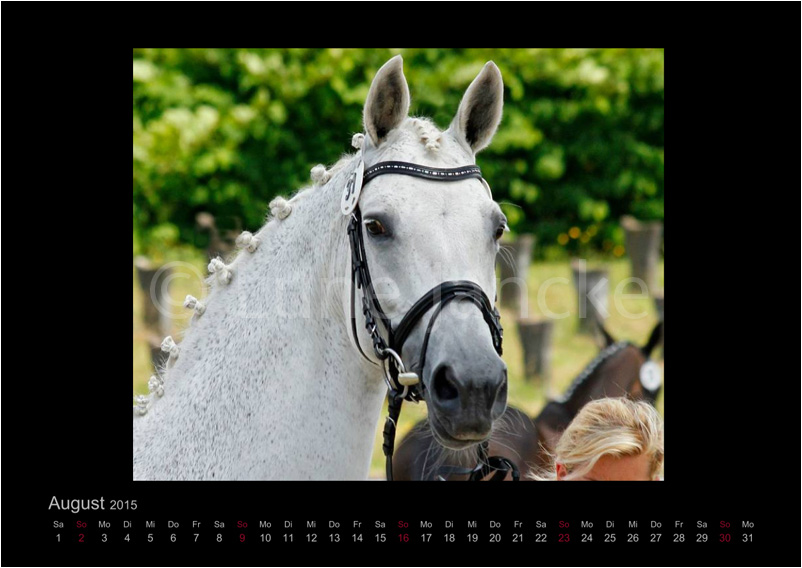 Karlotta Foto © Lune Jancke