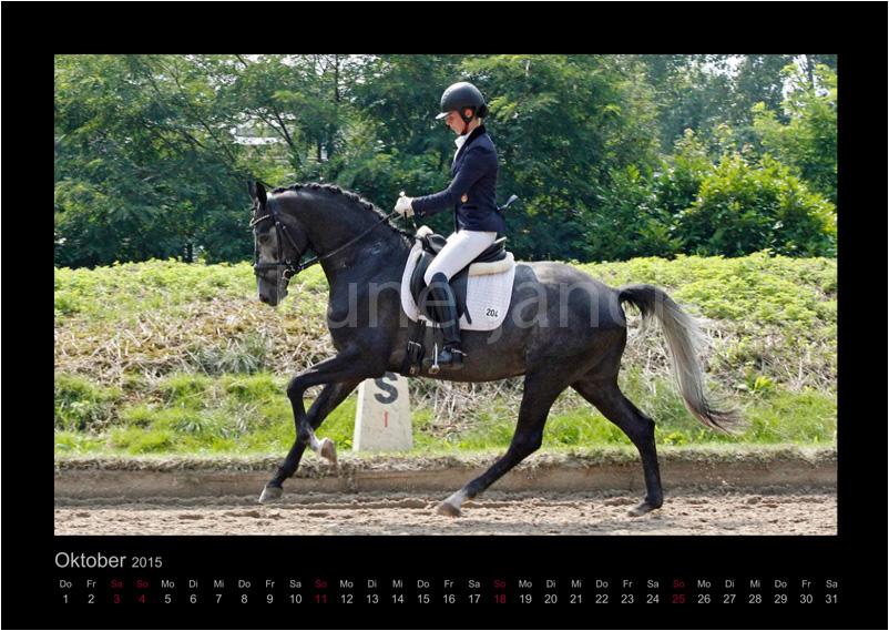 Hopkins Foto © Lune Jancke