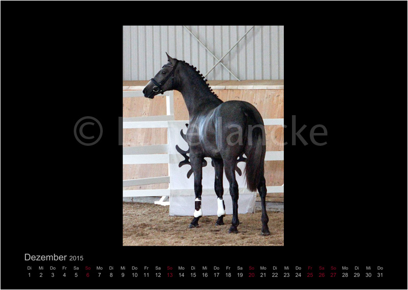 Team Spirit Foto © Lune Jancke