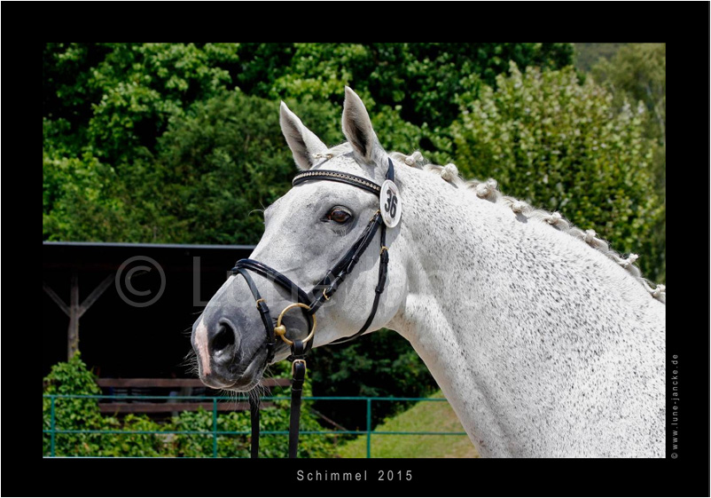 Die Kaiserin Foto © Lune Jancke