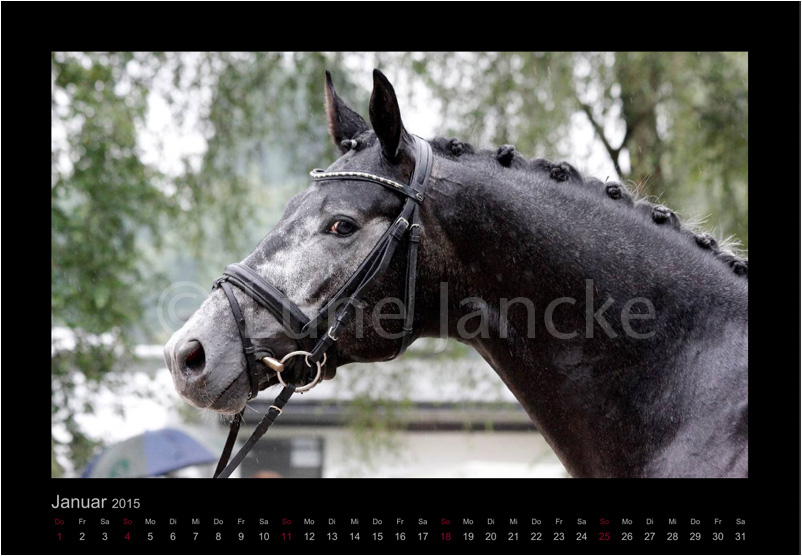 Hopkins Foto © Lune Jancke