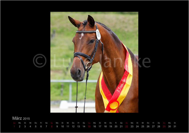 Kambra Foto © Lune Jancke