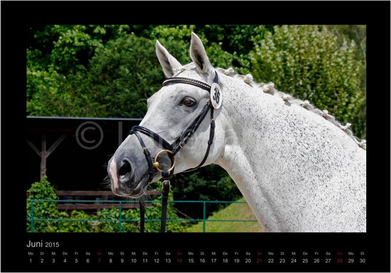 Die Kaiserin Foto © Lune Jancke