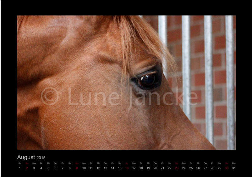 Legend Foto © Lune Jancke