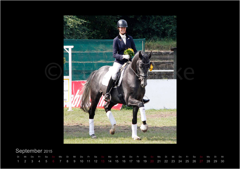 Hopkins Foto © Lune Jancke