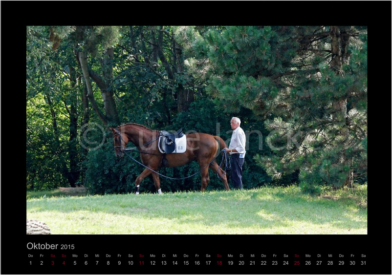 Tudor mit Otto Langels Foto © Lune Jancke