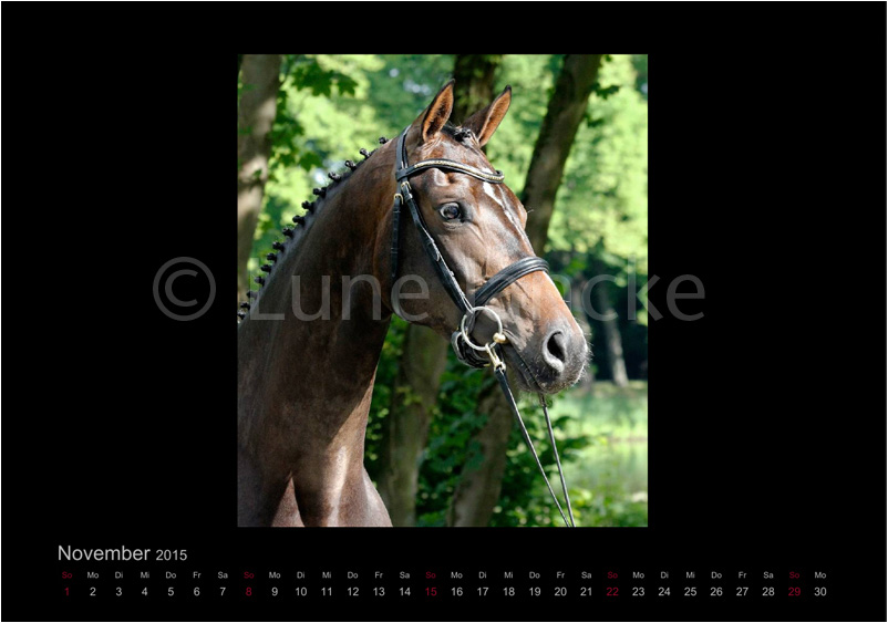 Evora Foto © Lune Jancke