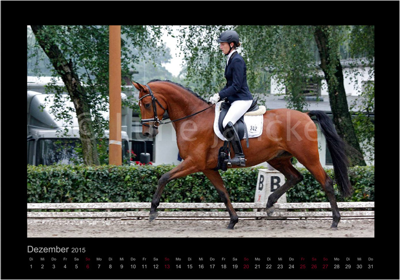 Rock my Life Foto © Lune Jancke