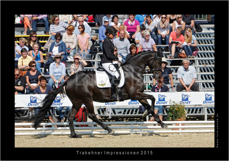 Zikade Foto ©  Lune Jancke