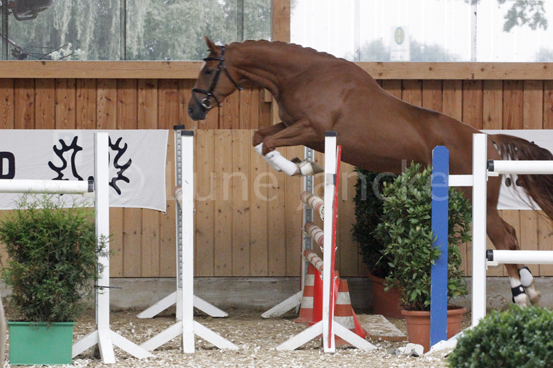 Longhena Foto © Lune Jancke