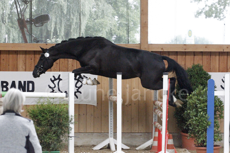 Ambiente Foto © Lune Jancke