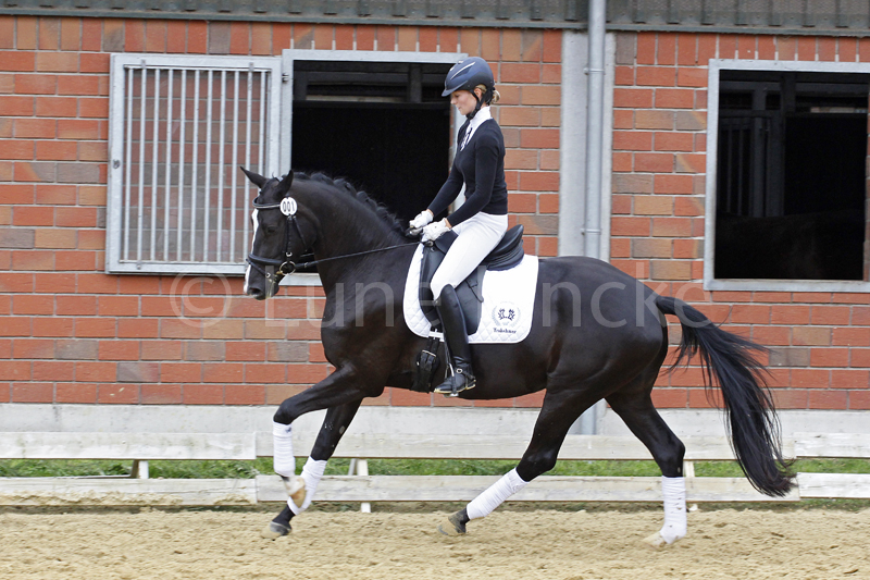 Ambiente Foto © Lune Jancke