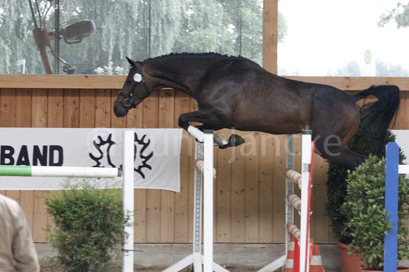 Imagyne © Lune Jancke