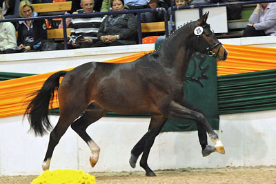 Königssee Foto: Peter Richterich