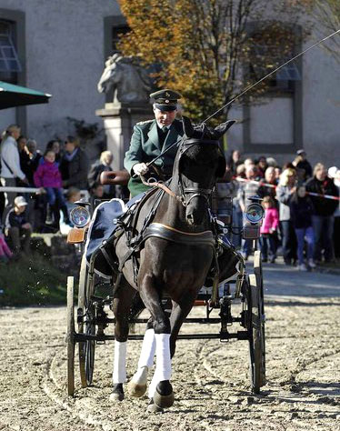 Graf Ibikus in Dilllenburg