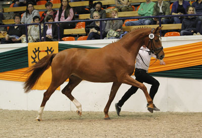 Herzrouge Foto: www.sportfotos-lafrentz.de