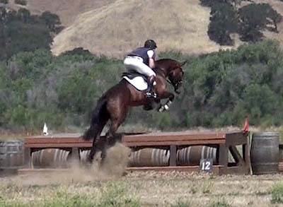 Tinto Retto v. Cadeau