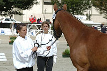 Foto: Peter Richterich