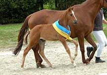 Foto: Peter Richterich